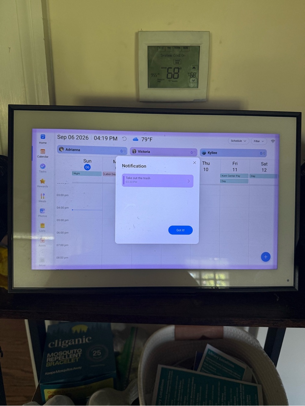 Electronic ECalendar